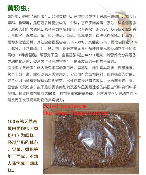 干燥黃粉蟲