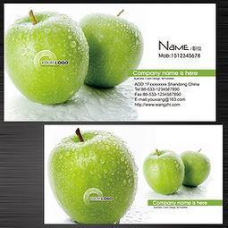 PSD青苹果水果名片设计 PSD格式青苹果水果名片设计素材图片 PSD青苹果水果名片设计设计模板 